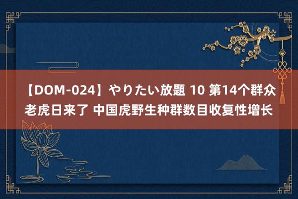 【DOM-024】やりたい放題 10 第14个群众老虎日来了 中国虎野生种群数目收复性增长