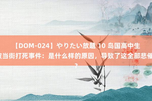 【DOM-024】やりたい放題 10 岛国高中生被当街打死事件：是什么样的原因，导致了这全部悲催？