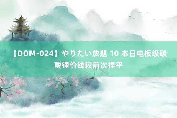 【DOM-024】やりたい放題 10 本日电板级碳酸锂价钱较前次捏平