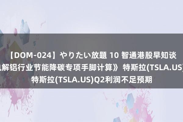 【DOM-024】やりたい放題 10 智通港股早知谈 | 五部门发布《电解铝行业节能降碳专项手脚计算》 特斯拉(TSLA.US)Q2利润不足预期