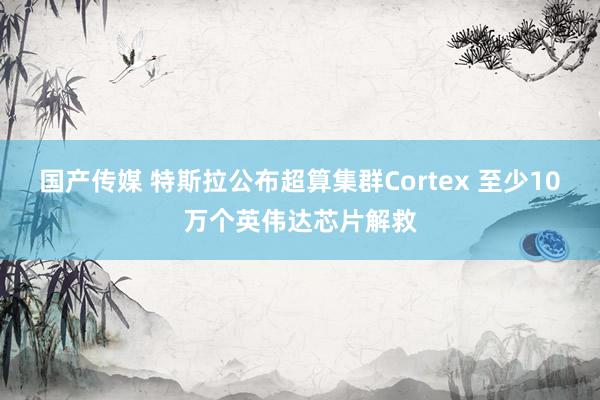 国产传媒 特斯拉公布超算集群Cortex 至少10万个英伟达芯片解救