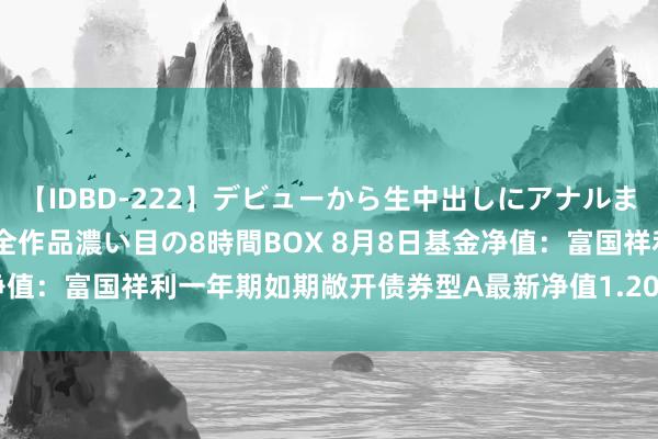 【IDBD-222】デビューから生中出しにアナルまで！最強の芸能人AYAの全作品濃い目の8時間BOX 8月8日基金净值：富国祥利一年期如期敞开债券型A最新净值1.2072，跌0.02%