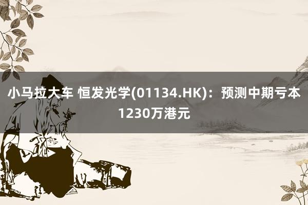 小马拉大车 恒发光学(01134.HK)：预测中期亏本1230万港元