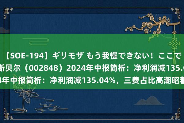 【SOE-194】ギリモザ もう我慢できない！ここでエッチしよっ Ami 高斯贝尔（002848）2024年中报简析：净利润减135.04%，三费占比高潮昭着