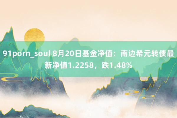 91porn_soul 8月20日基金净值：南边希元转债最新净值1.2258，跌1.48%