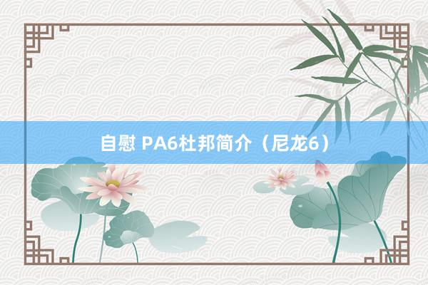 自慰 PA6杜邦简介（尼龙6）