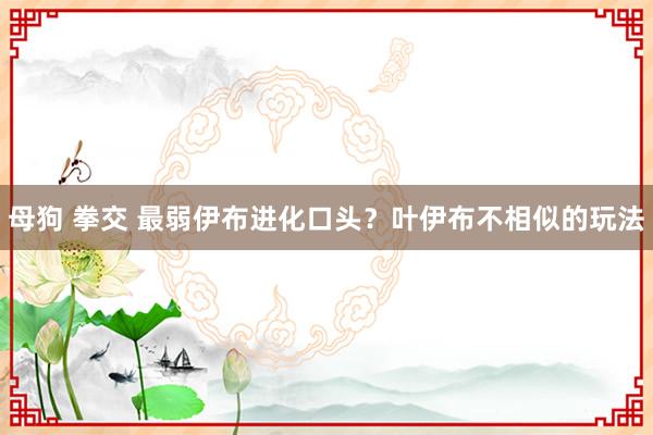 母狗 拳交 最弱伊布进化口头？叶伊布不相似的玩法