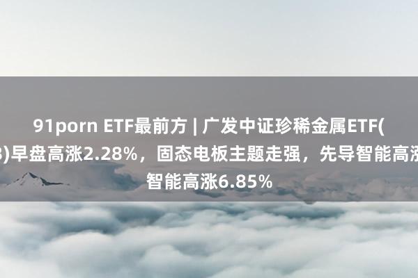 91porn ETF最前方 | 广发中证珍稀金属ETF(159608)早盘高涨2.28%，固态电板主题走强，先导智能高涨6.85%