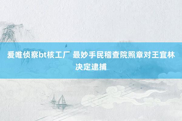 爰唯侦察bt核工厂 最妙手民稽查院照章对王宜林决定逮捕