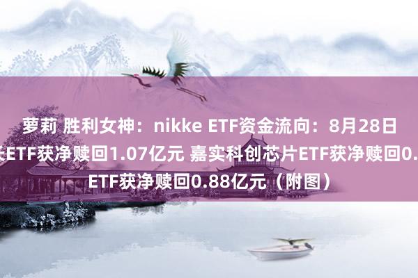 萝莉 胜利女神：nikke ETF资金流向：8月28日中原创业板成长ETF获净赎回1.07亿元 嘉实科创芯片ETF获净赎回0.88亿元（附图）