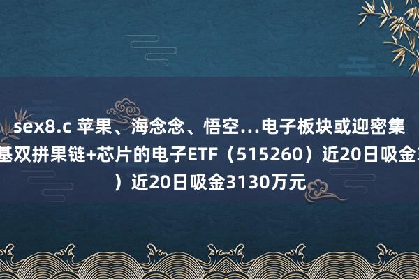 sex8.c 苹果、海念念、悟空…电子板块或迎密集利好，一基双拼果链+芯片的电子ETF（515260）近20日吸金3130万元