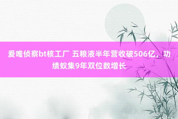 爰唯侦察bt核工厂 五粮液半年营收破506亿，功绩蚁集9年双位数增长