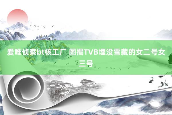 爰唯侦察bt核工厂 图揭TVB埋没雪藏的女二号女三号