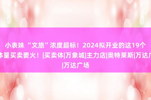 小表妹 “文旅”浓度超标！2024拟开业的这19个大体量买卖要火！|买卖体|万象城|主力店|奥特莱斯|万达广场