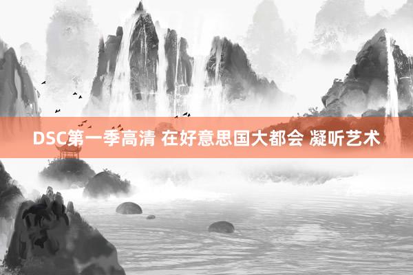 DSC第一季高清 在好意思国大都会 凝听艺术