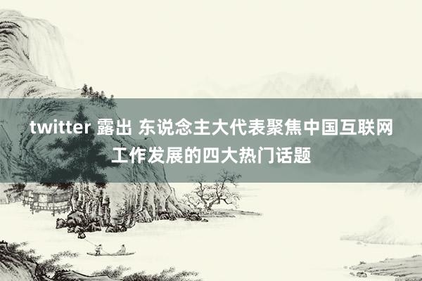 twitter 露出 东说念主大代表聚焦中国互联网工作发展的四大热门话题