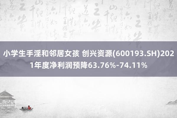 小学生手淫和邻居女孩 创兴资源(600193.SH)2021年度净利润预降63.76%-74.11%