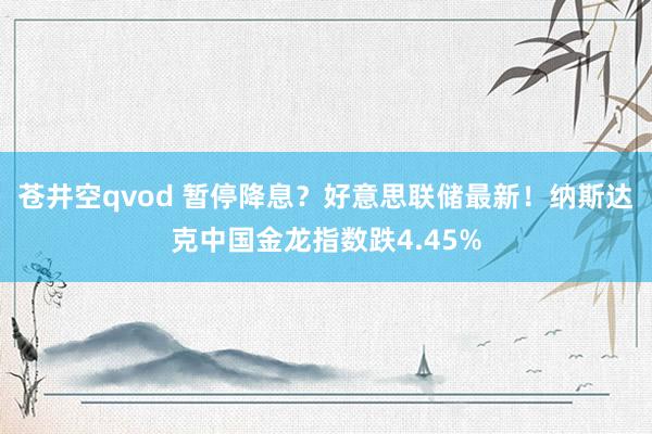 苍井空qvod 暂停降息？好意思联储最新！纳斯达克中国金龙指数跌4.45%